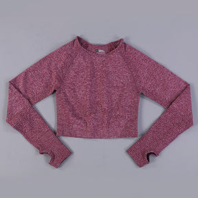 Cropped Long Sleeve Axtro