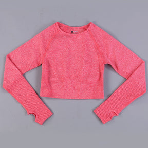 Cropped Long Sleeve Axtro