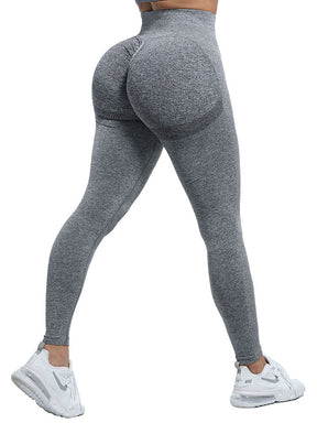 Legging Up Fitness Axtro Act